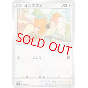 画像1: オニスズメ【-】 [SI]