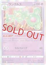 ランクルス【R】 [S12]