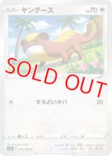 ヤングース【C】 [S12]