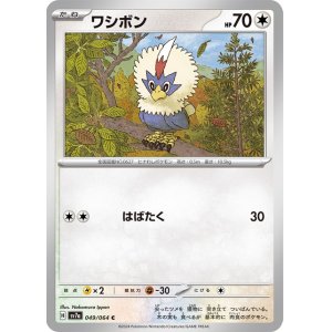 画像1: ワシボン【C】 [SV7a]